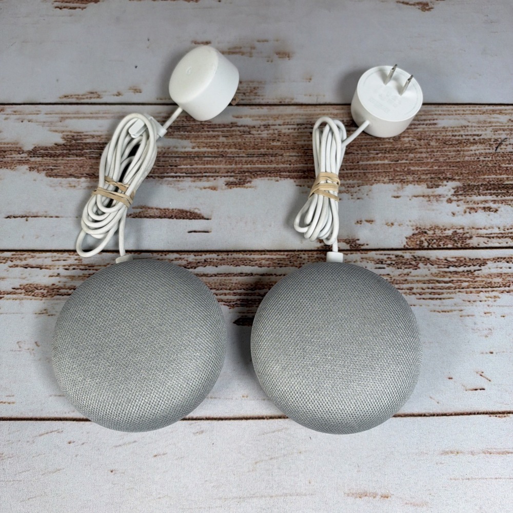 Google Home Mini Smart Speaker 2-Pack Chalk Gray Voice Assistant Adapters